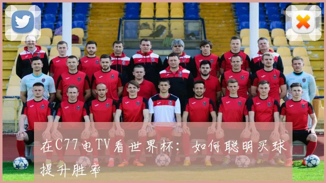 在C77电TV看世界杯：如何聪明买球提升胜率