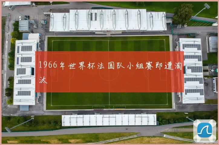 1966年世界杯法国队小组赛即遭淘汰