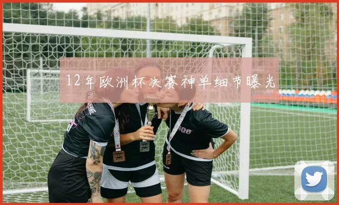 12年欧洲杯决赛神单细节曝光