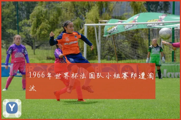 1966年世界杯法国队小组赛即遭淘汰
