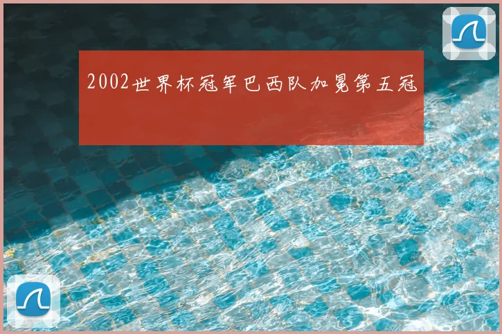 2002世界杯冠军巴西队加冕第五冠