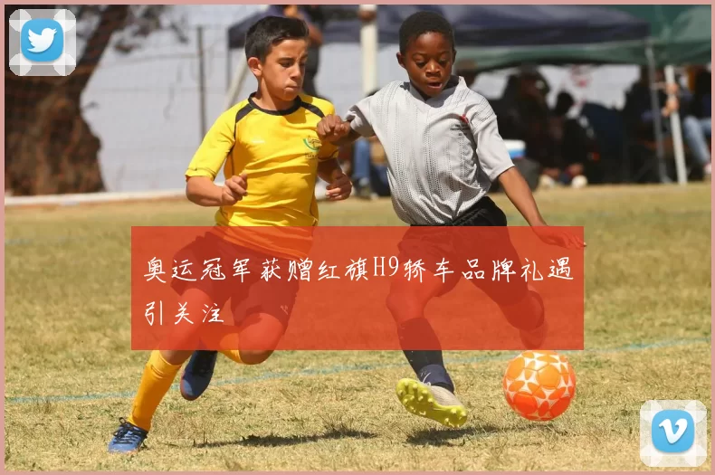 奥运冠军获赠红旗H9轿车品牌礼遇引关注