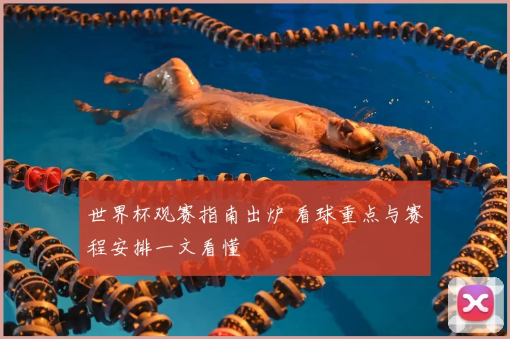 世界杯观赛指南出炉 看球重点与赛程安排一文看懂