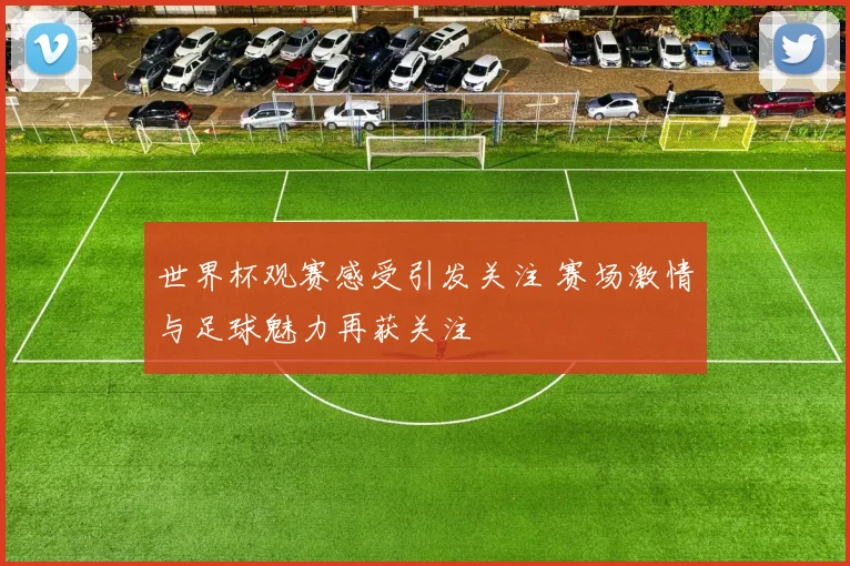 世界杯观赛感受引发关注 赛场激情与足球魅力再获关注