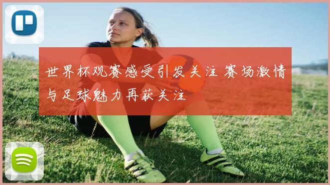 世界杯观赛感受引发关注 赛场激情与足球魅力再获关注