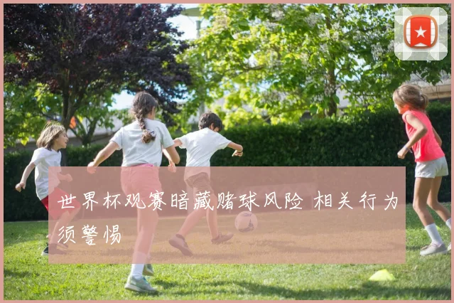 世界杯观赛暗藏赌球风险 相关行为须警惕